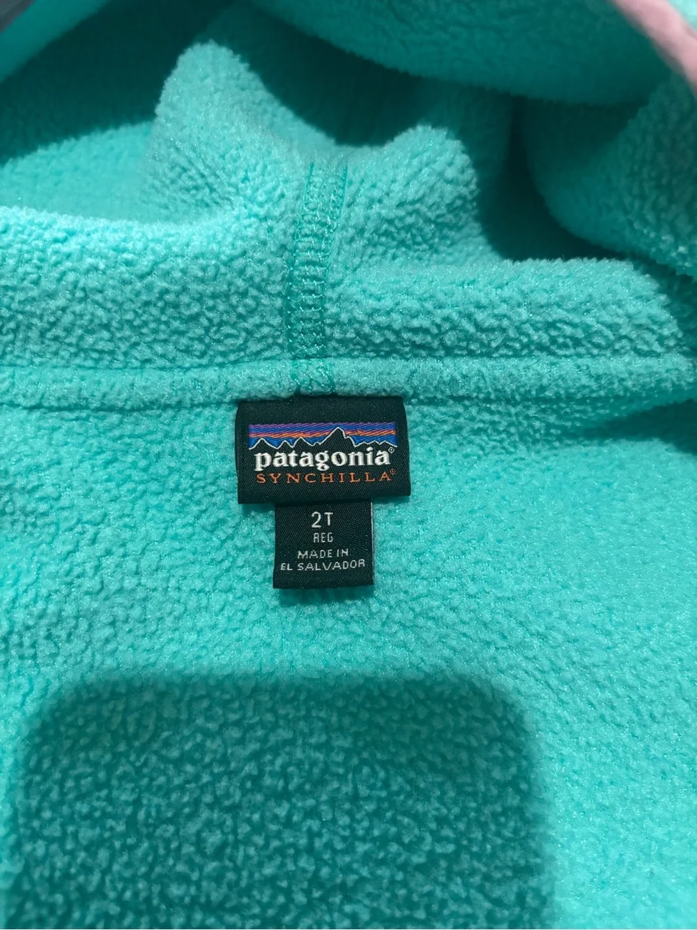 Patagonia 2T Teal Hooded Fleece Jacket